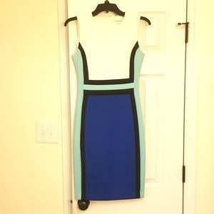 Size 2 Calvin Klein Women’s Dress